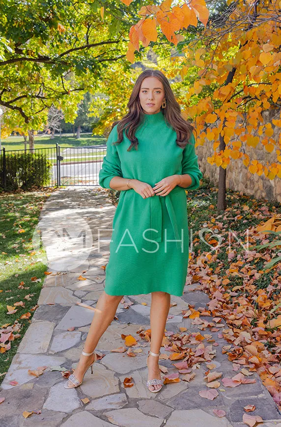 Alesha Kelly Green Sweater Dress - DM Exclusive - Maternity Friendly - Restocked