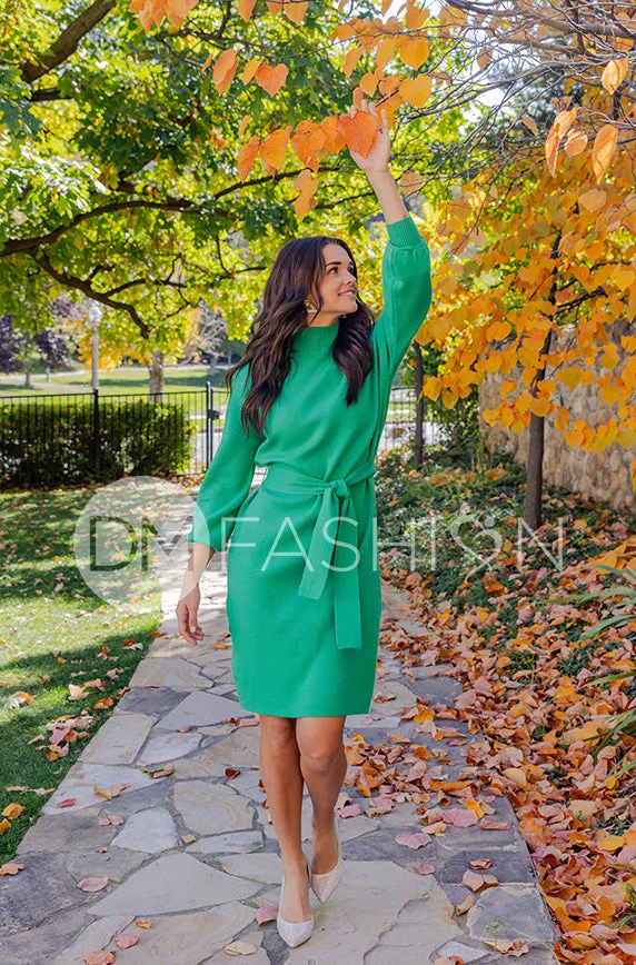 Alesha Kelly Green Sweater Dress - DM Exclusive - Maternity Friendly - Restocked