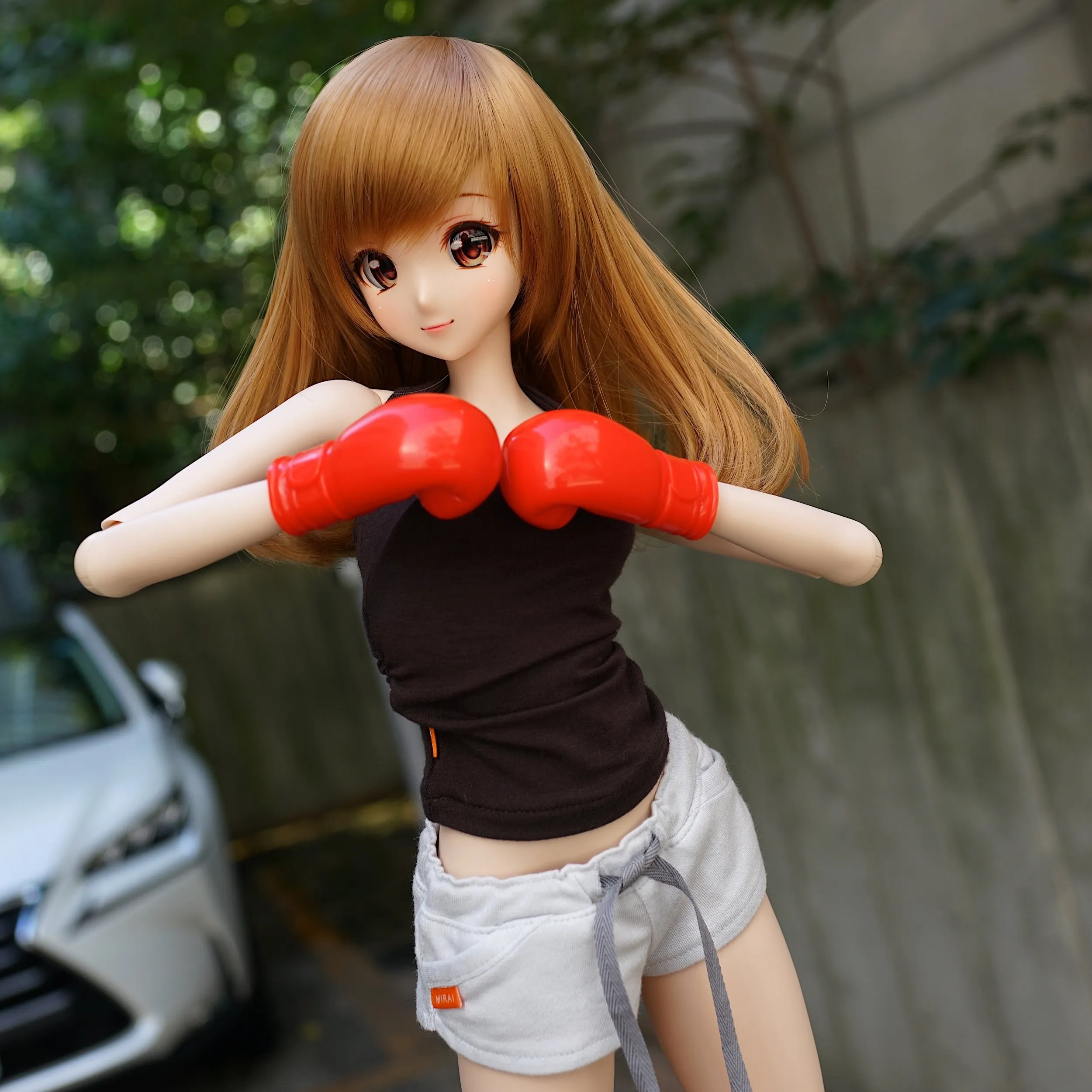 Boxing Gloves