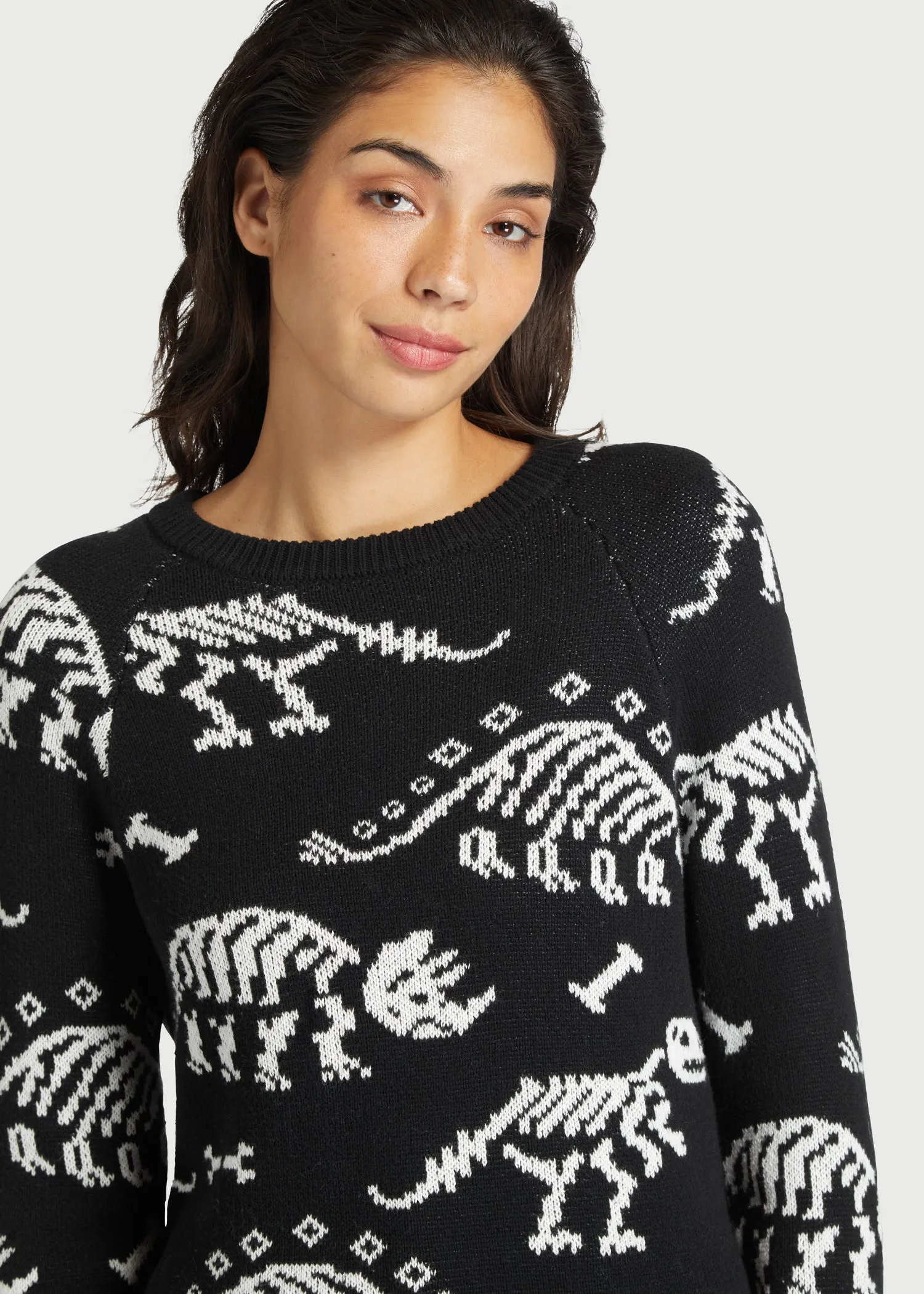 Dying For Dinos Sweater