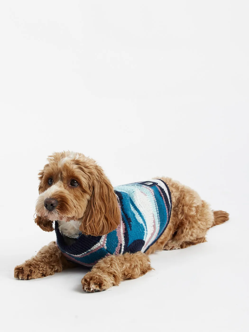 Jude Dogs Knitted Jumper