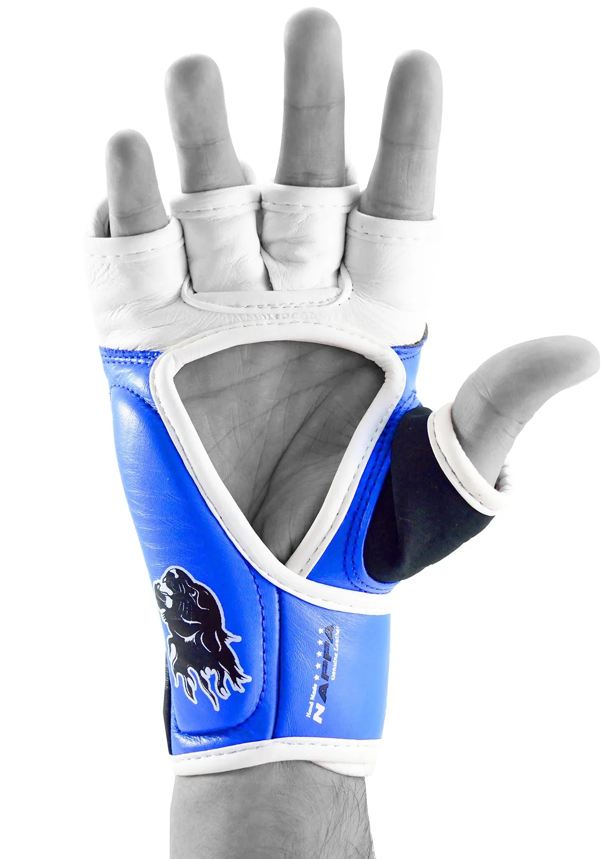 MAR-404 | Blue White IPPON MMA Gloves