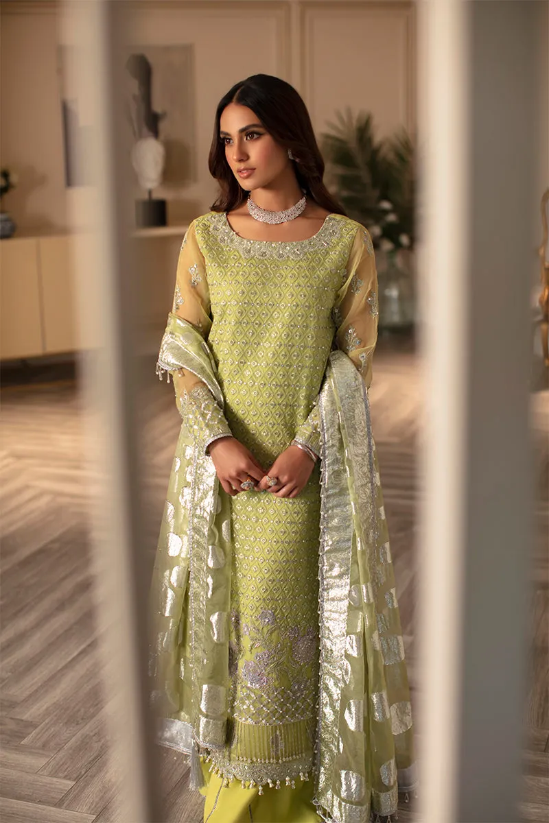 Rang Rasiya Ritzier Embroidered Wedding Series – DILNUR