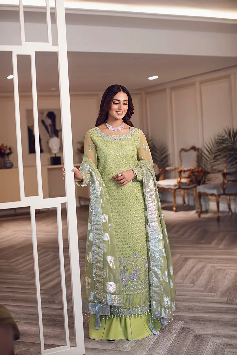 Rang Rasiya Ritzier Embroidered Wedding Series – DILNUR