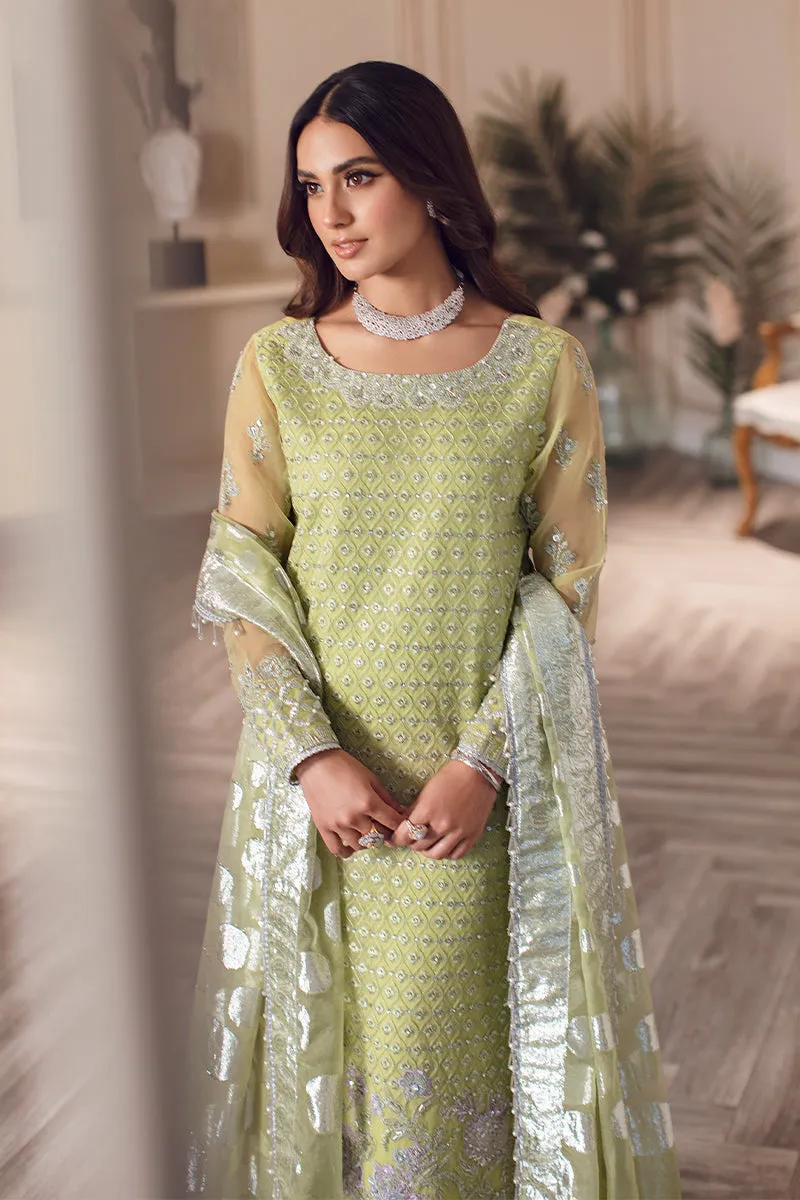 Rang Rasiya Ritzier Embroidered Wedding Series – DILNUR