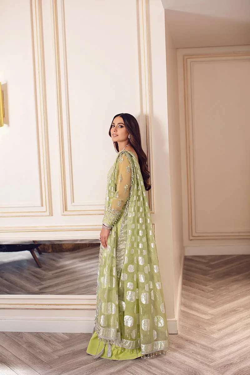 Rang Rasiya Ritzier Embroidered Wedding Series – DILNUR