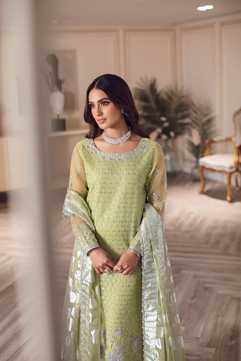 Rang Rasiya Ritzier Embroidered Wedding Series – DILNUR