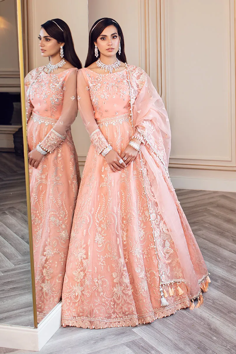 Rang Rasiya Ritzier Embroidered Wedding Series – MAYA