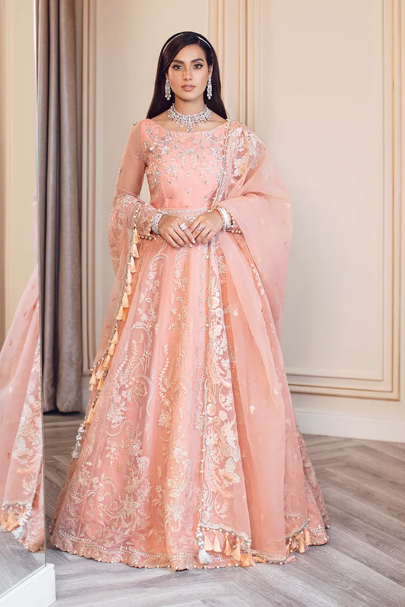 Rang Rasiya Ritzier Embroidered Wedding Series – MAYA