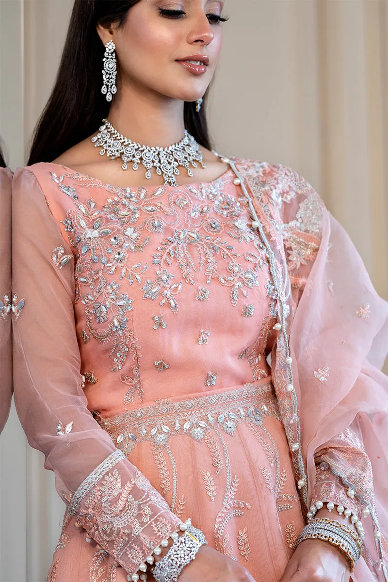 Rang Rasiya Ritzier Embroidered Wedding Series – MAYA