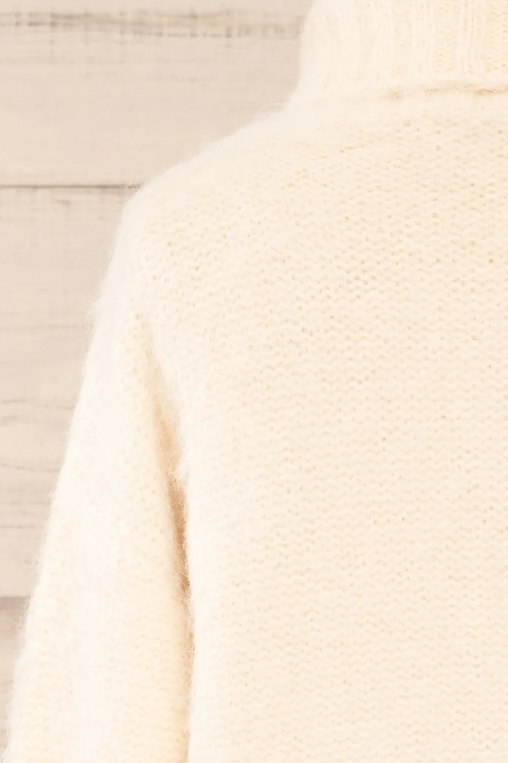 Seattle Ivory | Fuzzy Knit Turtleneck Sweater